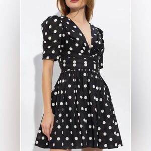 Zimmermann Polka Dot Pleated Linen Minidress size 6 (1) NWT